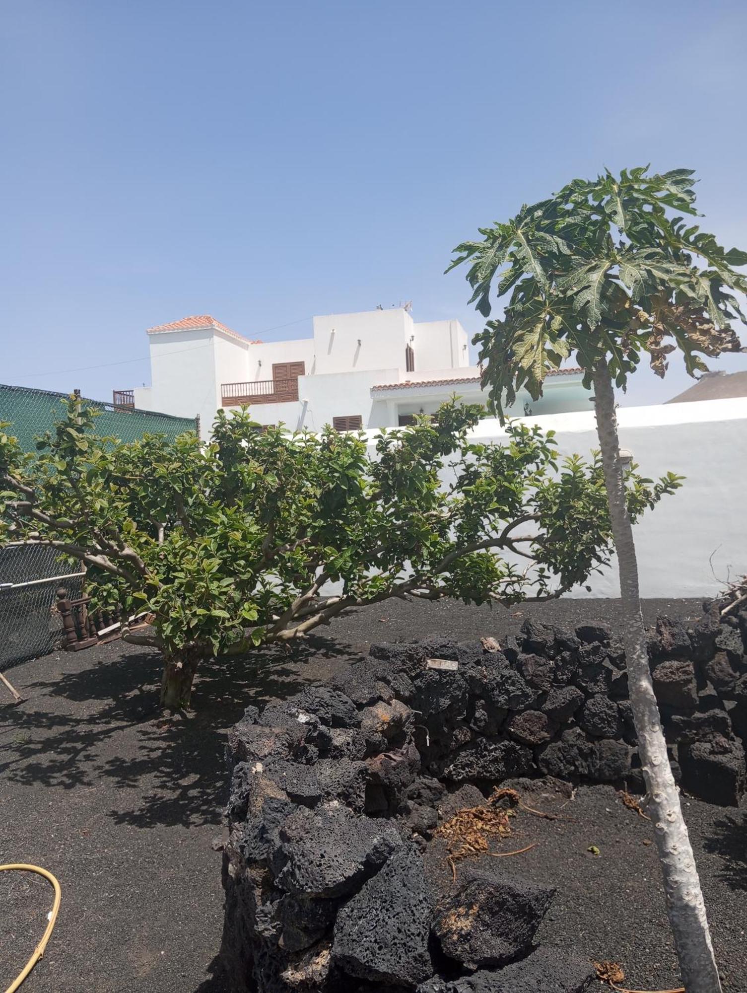 Casa Siempreviva Villa Teguise  Kültér fotó