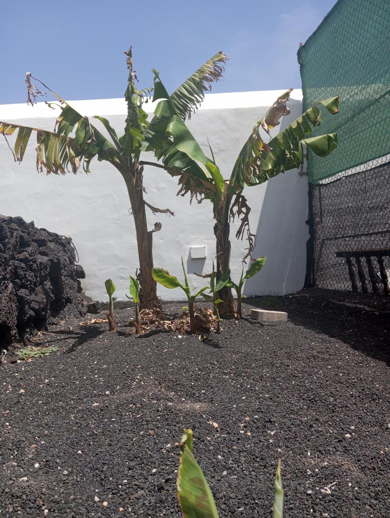 Casa Siempreviva Villa Teguise  Kültér fotó