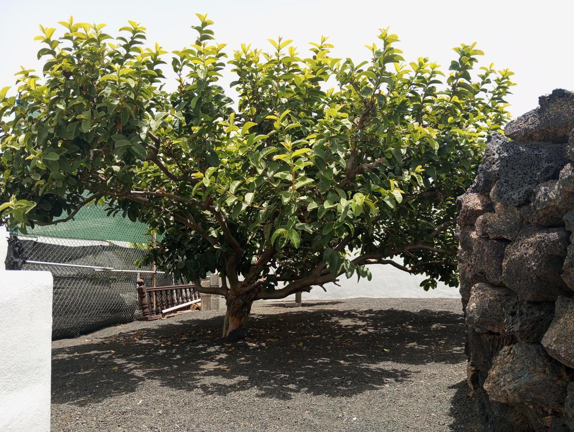 Casa Siempreviva Villa Teguise  Kültér fotó